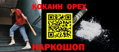 гидропоника Новозыбков