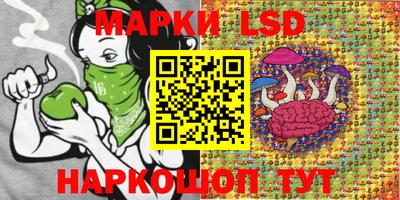 гидропоника Новозыбков