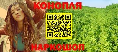 гидропоника Новозыбков